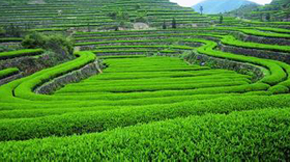 ЙC(j)B(ti)r(nng)I(y)߀ԭr(nng)I(y)B(ti)|(zh)