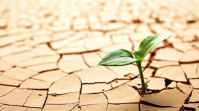 ͨ_(d)عЙC(j)O(sh)Q(wn)}