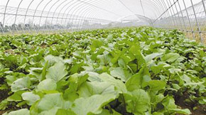 ЙCʴ滯ʣhaѭhrI˳ڼô