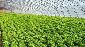 S׃ؐJѭh(hun)r(nng)I(y)