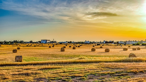 ƽԭhGɫdr(nng)ЙCʣr(nng)I(y)Gɫl(f)չ