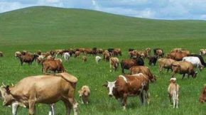 r(nng)I(y)r(nng)岿(x)SYԴ߷Ҏ(gu)