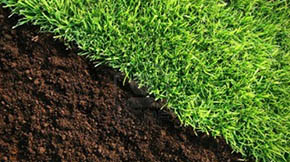 ӱB(yng)ֳȾݼSȥăˣ