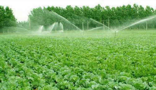 P_չGɫNBѭhrIԇc֪ͨ