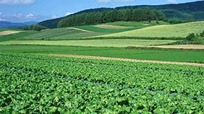 Y(ji)(gu) pԴȾ |ʡЙC(j)ʩ^(gu)2000f(wn)