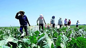 2021GɫNB(yng)ѭh(hun)r(nng)I(y)ԇc(din)g(sh)ָ(do)Ҋ