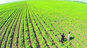 ؔ r(nng)I(y)r(nng)岿l(f)2021c(qing)r(nng)r(nng)