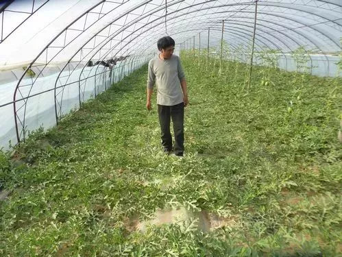 r(nng)I(y)r(nng)岿ֹݼSֱ߀ȫ(yn)飡