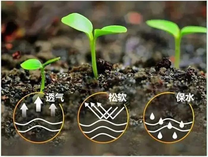 δЙCʱ،ɞИIarYMğc