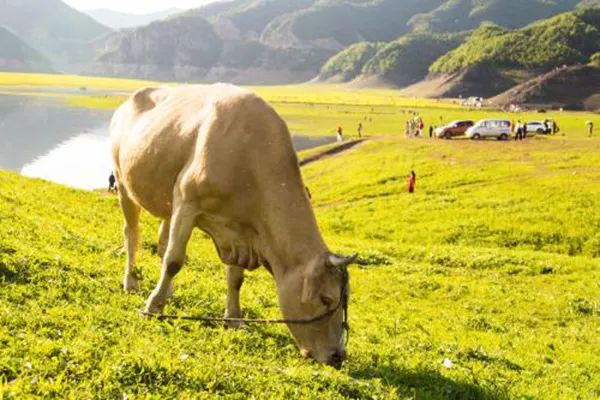 ݼSYԴáЙCʵȾGɫĿՈaN