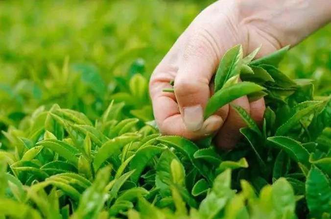 rIr岿Mһߘ˜rｨO|ͳЧҊ