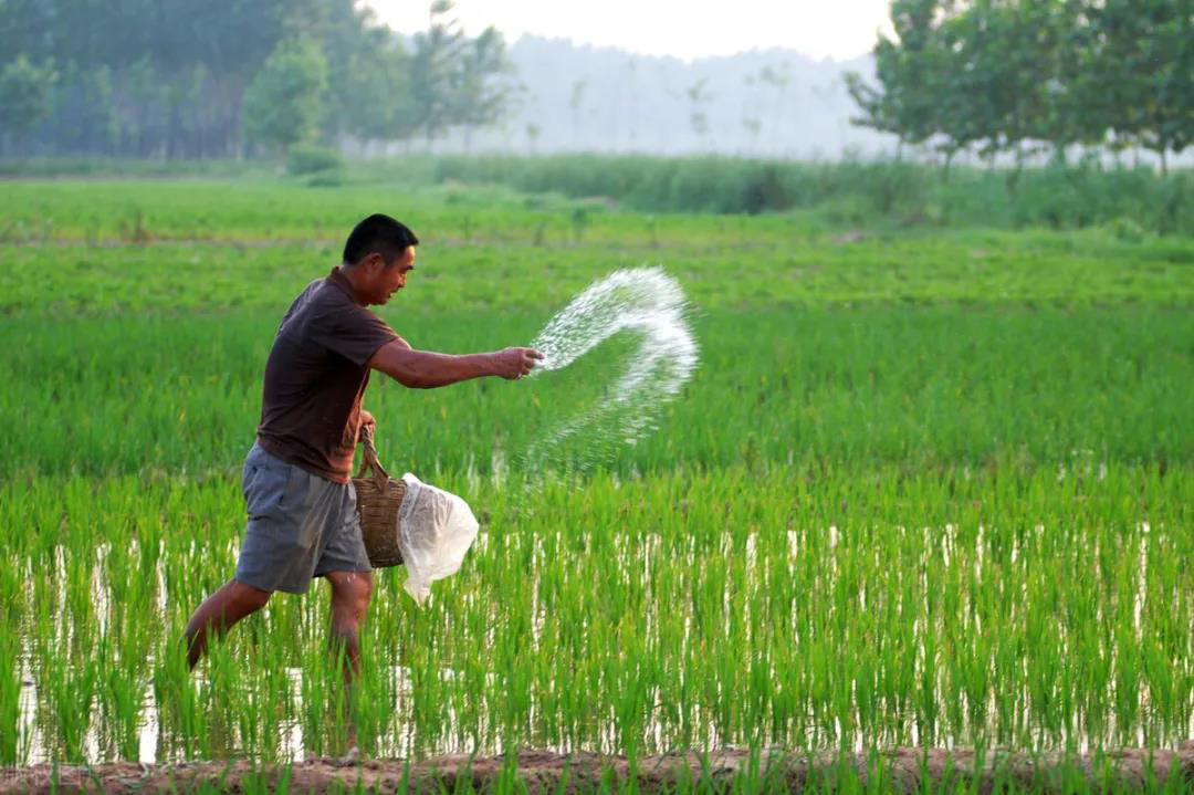 AȫN磺ȫԸﶬNrYͻʶ