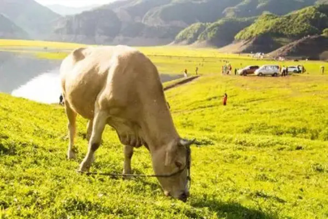 F~fɽݼS׃U錚BѭhrIld