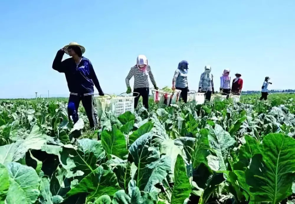 Mһ_ݼS߀Ҫ󏊻BֳȾO֪ܵͨ