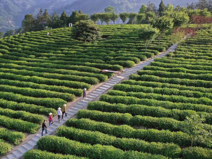 PڳmMݼSYԴøˮƽϼZʳȫĽh