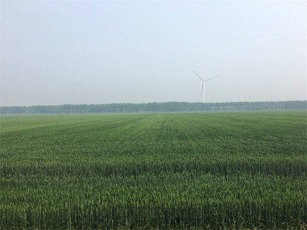 rIr岿PڳmMݼSYԴøˮƽϼZʳȫĽh