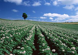 �i�S�ЙC�����a��ʲôҪ���죿