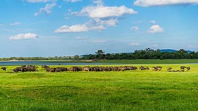 �i�S��ţ�S�l(f��)���ЙC(j��)�ʑ�(y��ng)ע��Ďׂ�(g��)С��(x��)��(ji��)