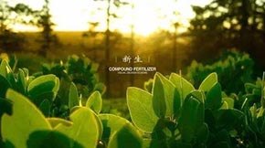 ���ݼS��o(w��)����̎���ЙC(j��)���O(sh��)�乤ˇ���E