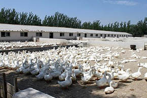 �B(y��ng)�������̎�����S�������@Щ�͉��� ��