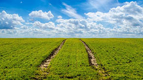 �������B���� �lչ�Gɫ�r�I