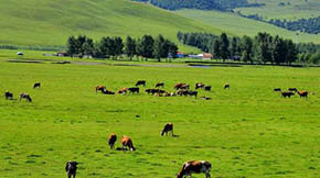 �r�I���P���Mһ���ӿ����ݼS���YԴ�����õ����߽���