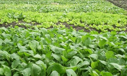 �ЙC��Ч�����ã��ЙC���O��S��ͨ�_�ع����㿂�Yԭ��