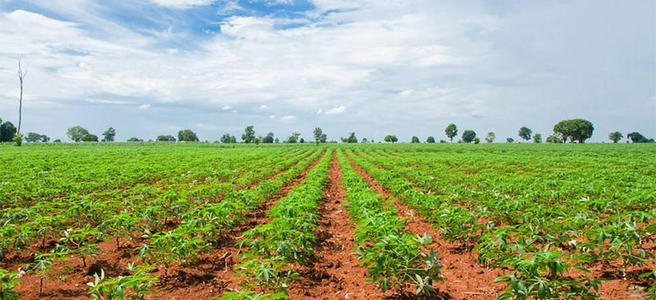 ���a�ЙC��������Ҫ�k��Щ���m��