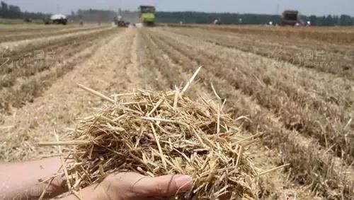 �`�оGɫ�l(f��)չ���� ���M(j��n)�ն��YԴ������