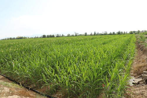 ��(gu��)�����(xi��ng)������ͦ�ЙC(j��)���������