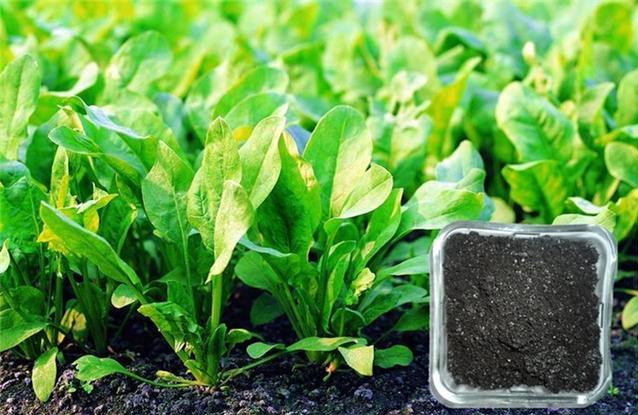 ���������ЙC(j��)�ʰl(f��)�ͼ��g(sh��)����Щ��(y��u)�c(di��n)?