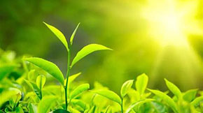 �����B�i�����i�S����ô̎���ģ�