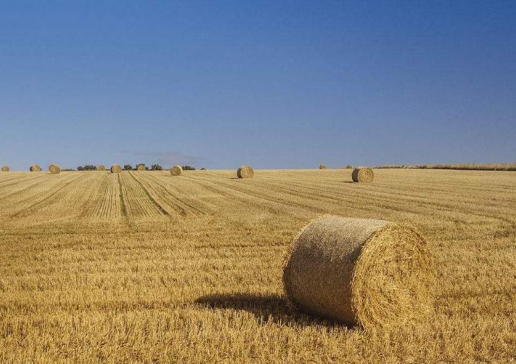 �ն��ЙC(j��)�ʼӹ����W(xu��)��ˇ�c�O(sh��)��