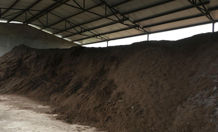 ԭcoϵİȫԌ(du)΢ϵӰ