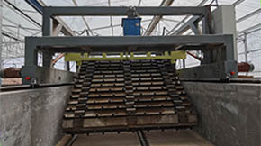 ЙC(j)O(sh)SҽSl(f)ͳ̎