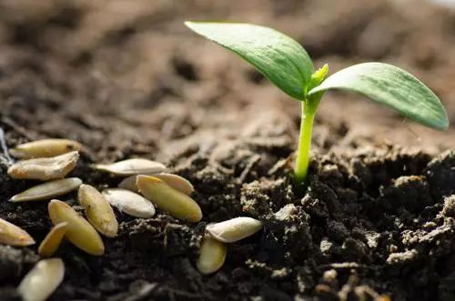 ɴԭV㣬ҪûʣЙC(j)ʣ