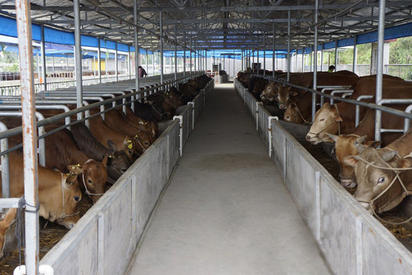 B(yng)ţ(chng)ţS̎ЙC(j)ʣ