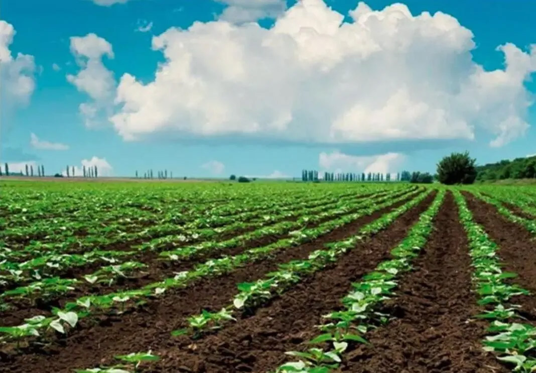 ҇ҎģBֳȫ׼S̎Oʩb